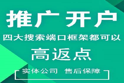 SEM代运营托管公司成功案例分析